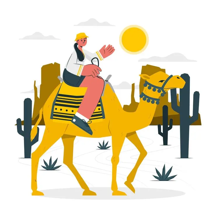 Desert safaris